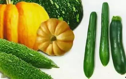 吃瓜宗门名字,揭秘吃瓜宗门的神秘面纱